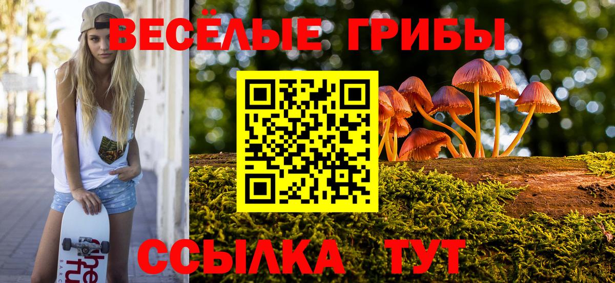 Псилоцибиновые грибы Magic Shrooms Урюпинск